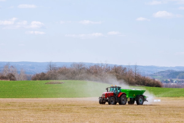 Healthy crops growing in soil treated with Lifted P sustainable phosphate fertilizer.