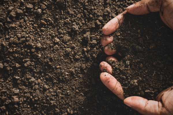 Hands holding healthy soil, representing sustainable solutions for water treatment and land nourishment.