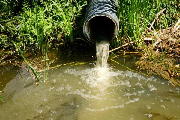 A pipe discharging polluted water into a stream, negatively impacting the aquatic ecosystem.